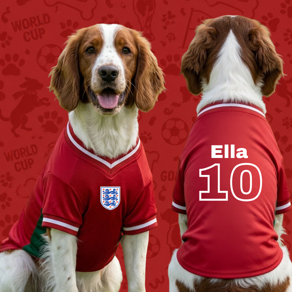 Personalised England Dog Football Shirt - Image 2