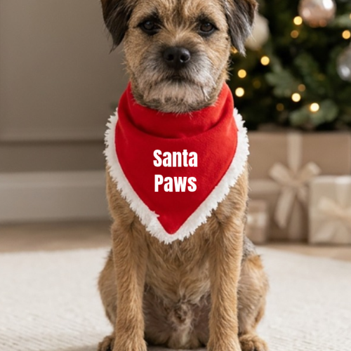 Custom Text Personalised Christmas Dog Bandana