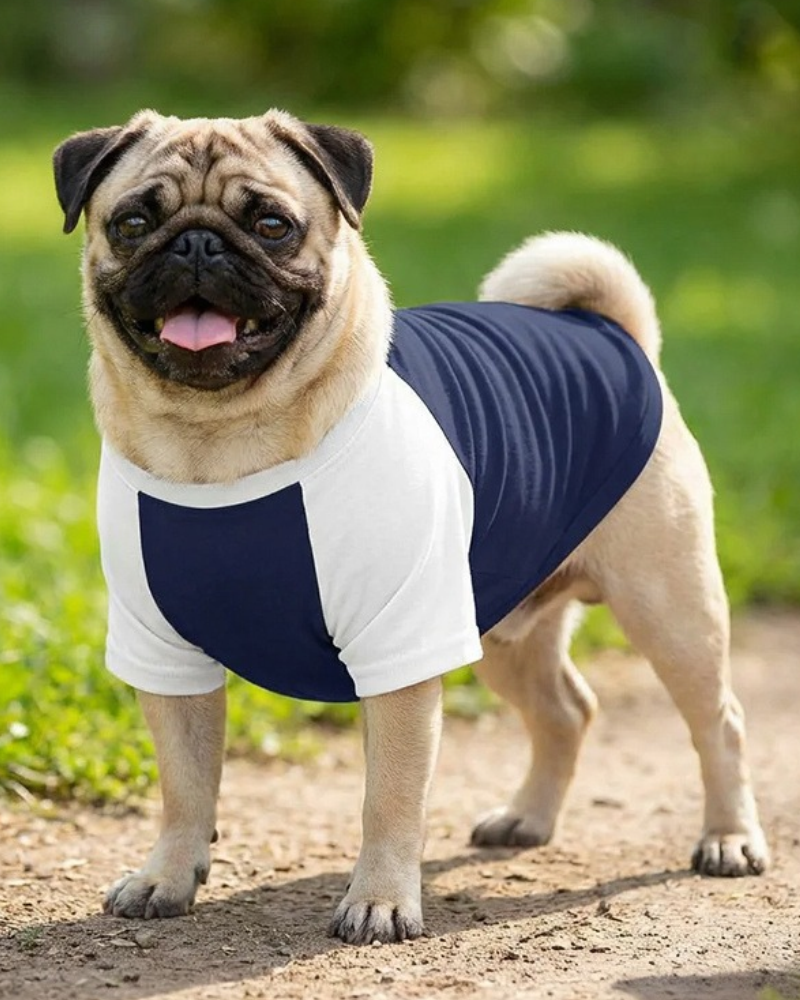 Dog T-Shirt