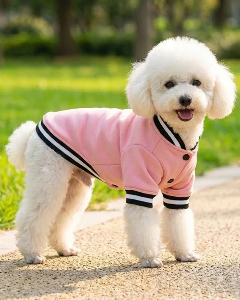 Dog Varisty