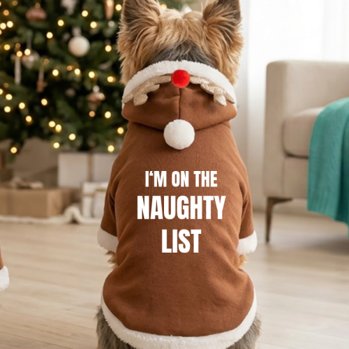 The Naughty List Personalised Reindeer Dog Hoodie
