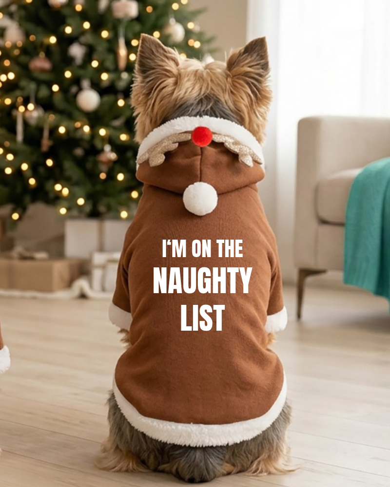 The Naughty List Personalised Reindeer Dog Hoodie