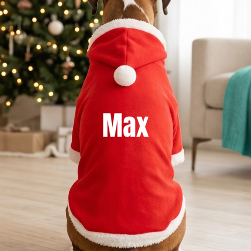 The Classic Personalised Santa Dog Hoodie